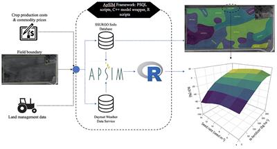 Using a Crop Modeling Framework for Precision Cost-Benefit Analysis of Variable Seeding and Nitrogen Application Rates